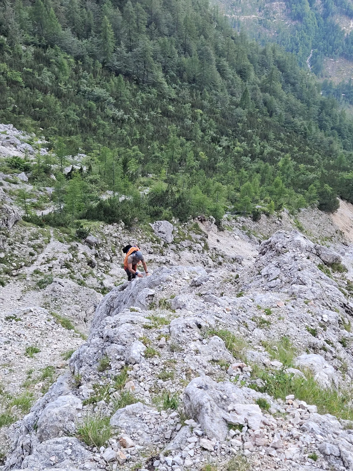 20250810_072547-M4MT.webp