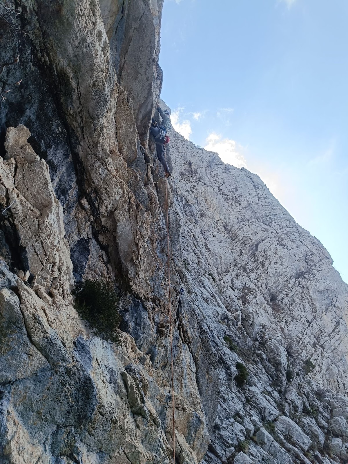 Pepermint - ulazna dužina