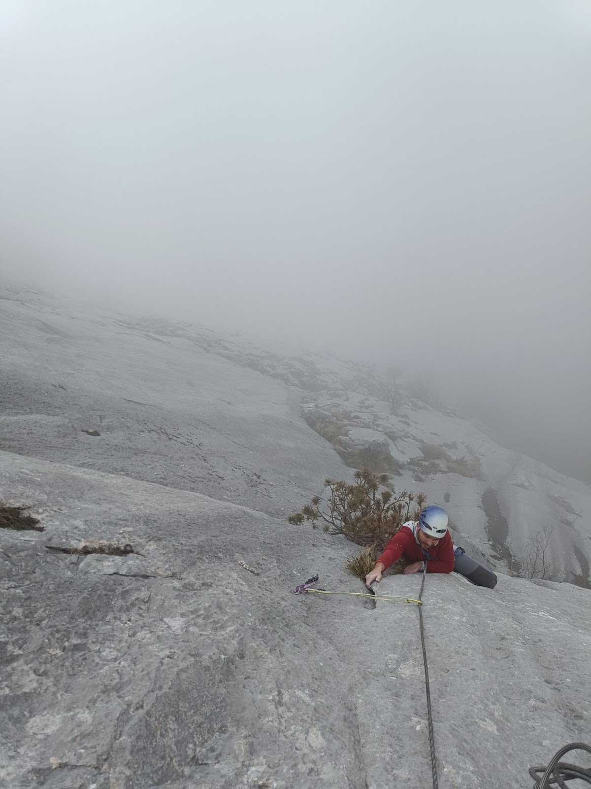 Solja - dužina prije detaljne