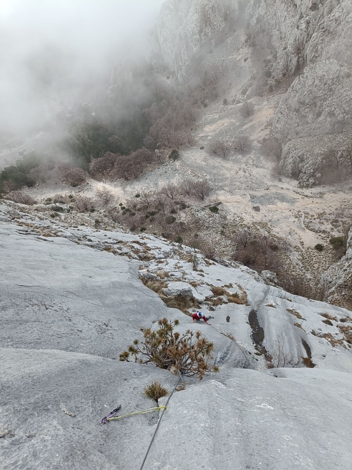 Solja - dužina prije detaljne