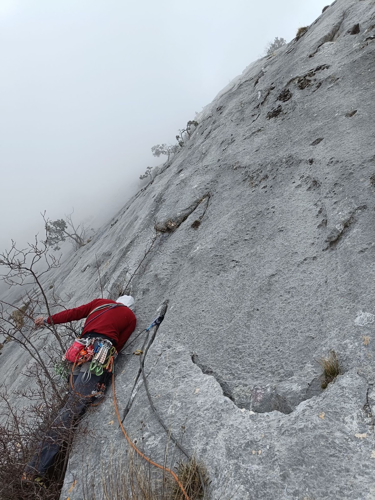 Solja - hortikultura u detaljnoj dužini